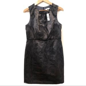 NWT Loft Dress